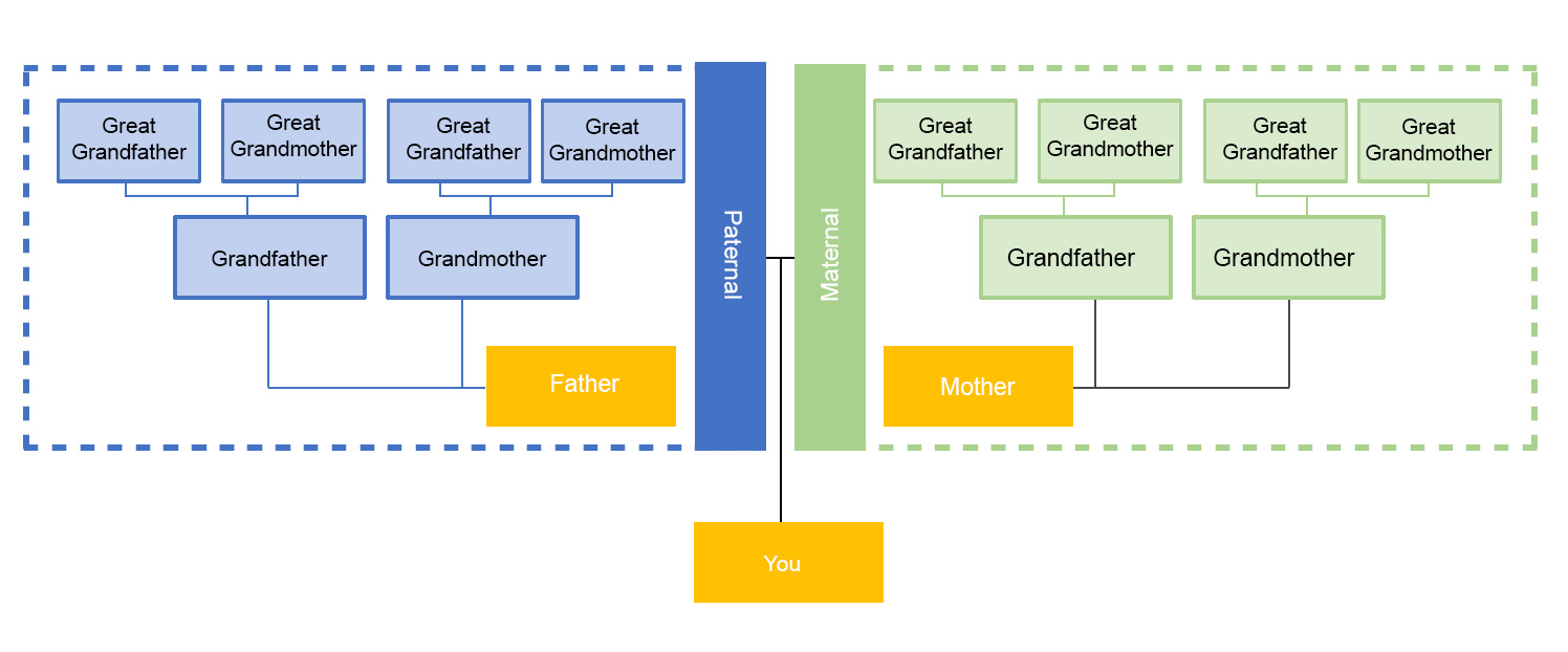 Familivistas chart 3